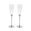 Boston Champagne Toasting Flutes Set