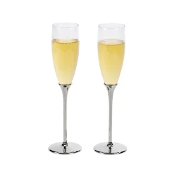 Boston Champagne Toasting Flutes Set