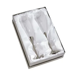 Boston Champagne Toasting Flutes Set