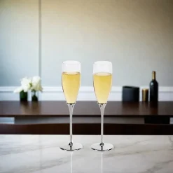 Boston Champagne Toasting Flutes Set