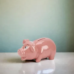 Ceramic Pig Bank