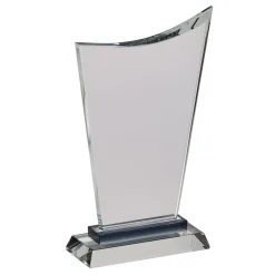 Large Wave Trophy 11.5" H With Black Highlight On Base