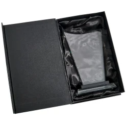 Medium Wave Trophy 10.25" H With Black Highlight On Base