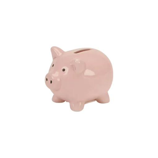 Small Pink Ceramic Pig Bank