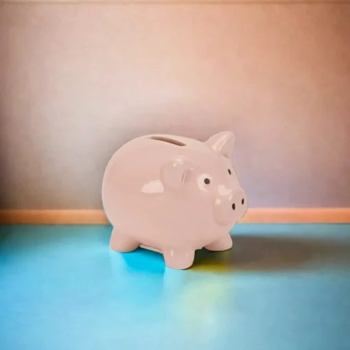 Small Pink Ceramic Pig Bank