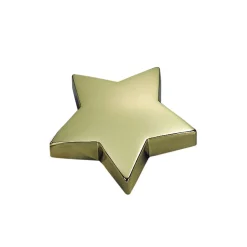 Star Shaped Paperweight in Brass Plate